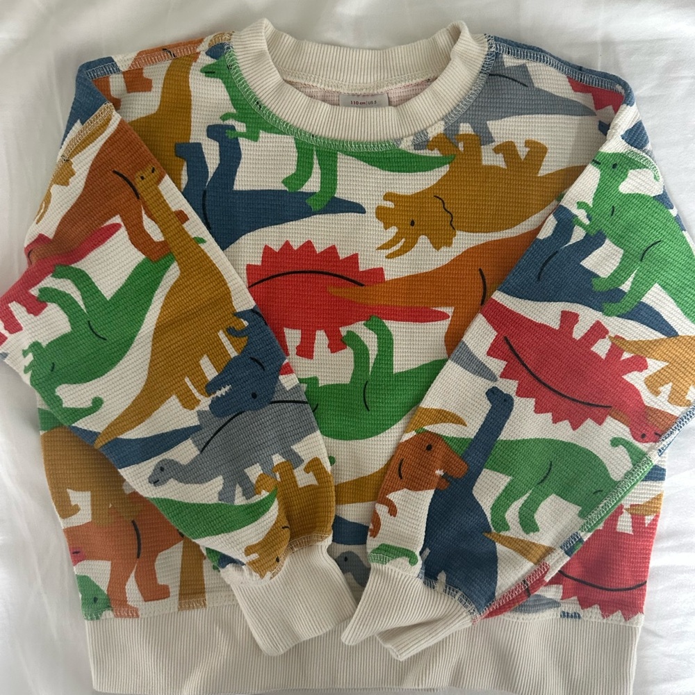 Hanna Andersson Dinosaur Print Waffle Knit Sweatshirt